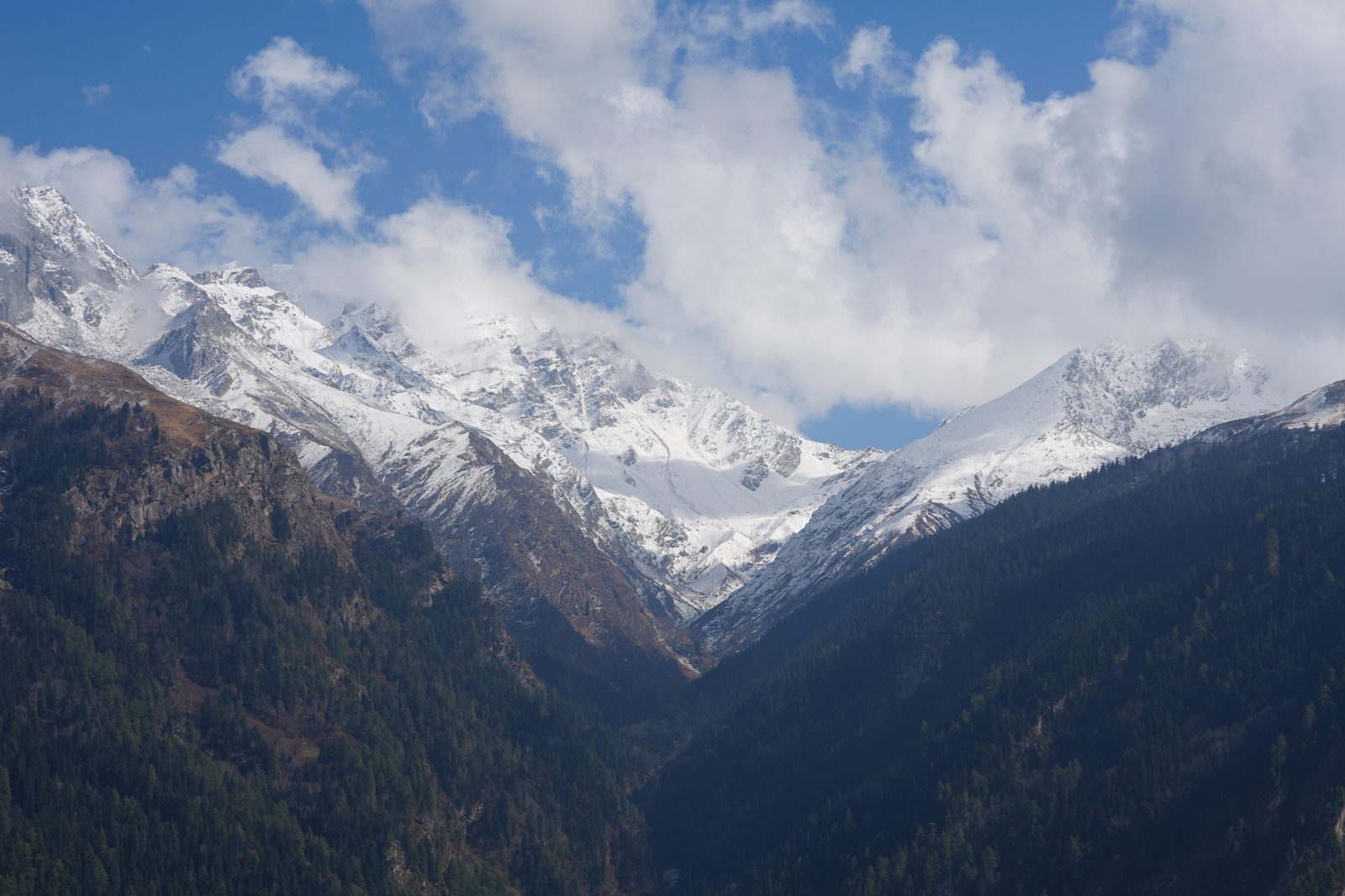A broad snow massif standing above forested slopes, cloud sitting along its tops.